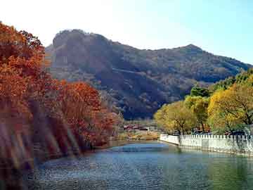 管家婆黑白马报图库，水杉基地